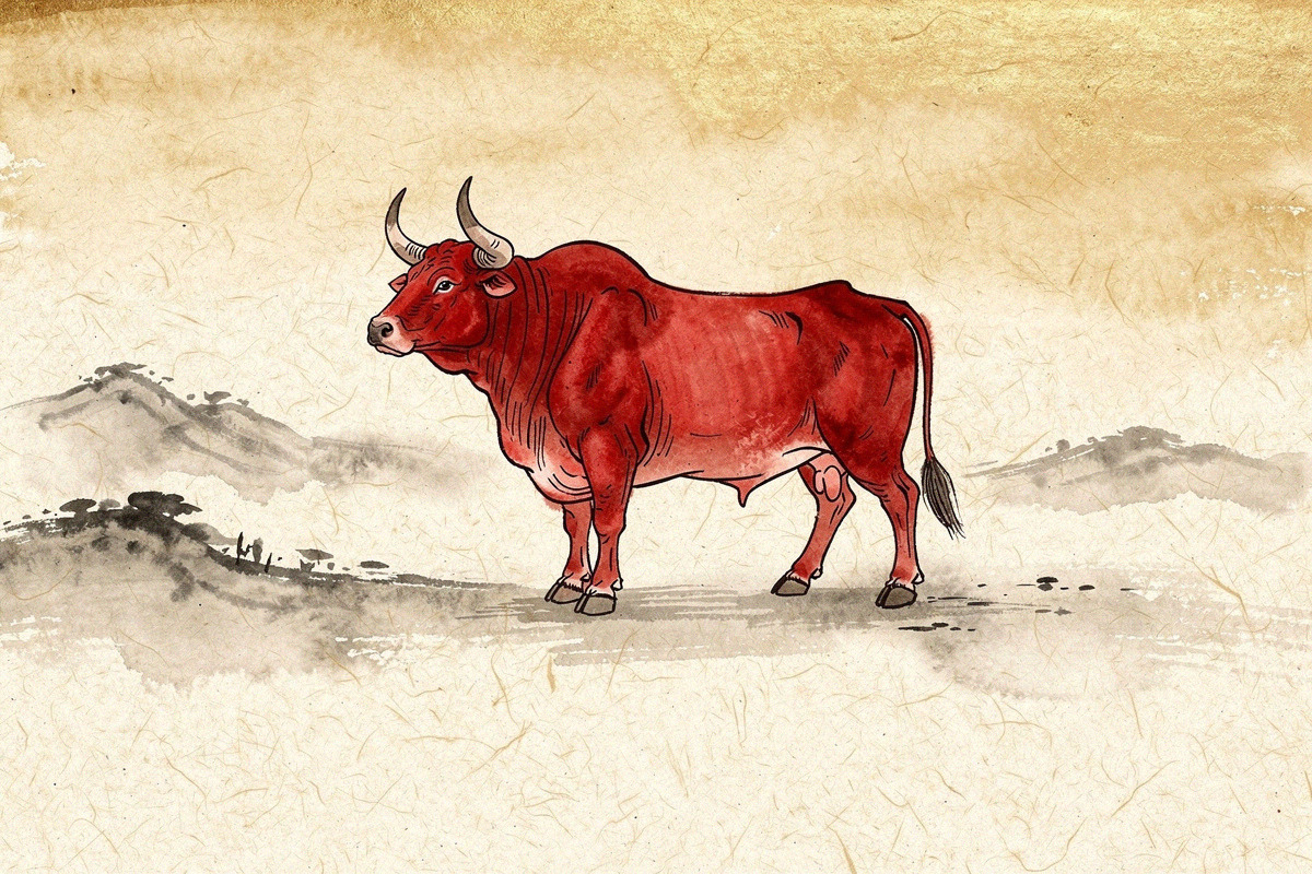 Illustration pour Signe du boeuf - Signe Chinois du boeuf - Signes Astrologiques chinois